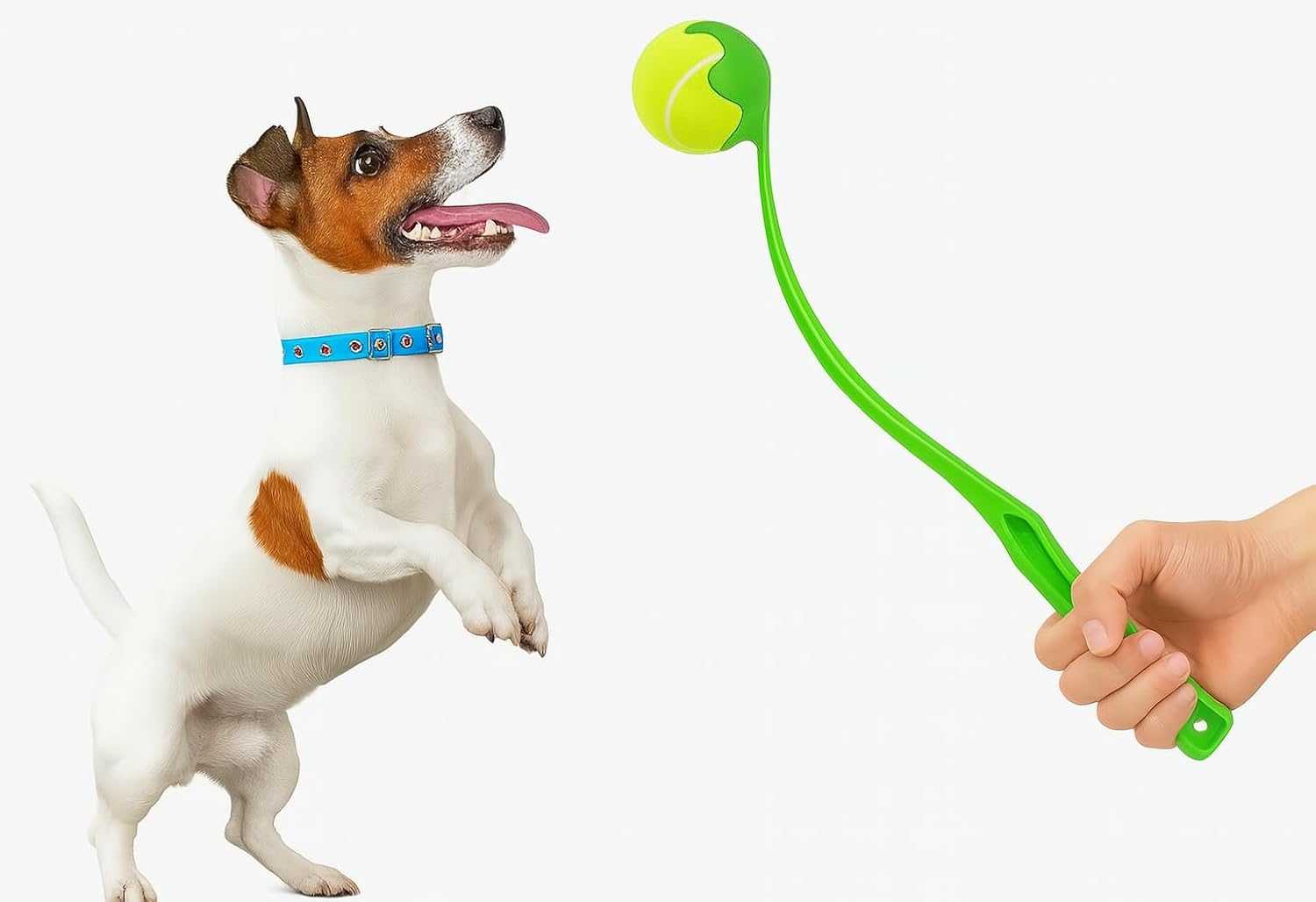 Eco-friendly dog ball thrower for extended outdoor fetch sessions with safe non-toxic materials