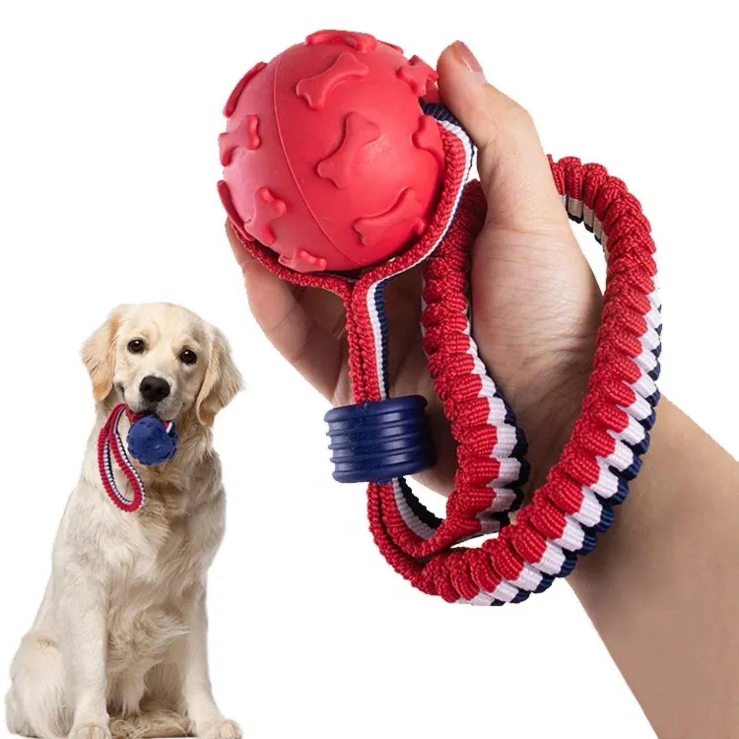 Dog Ball non squeaky dog ball thrower