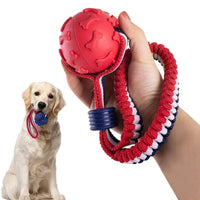 Professional Class- Voted No.1 for Quality Dog Balls Set of 5 Squeaky Balls for Dogs Including 1 Solid Flex Dog Toy Play Ball with Handle