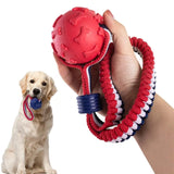 Professional Class- Voted No.1 for Quality Dog Balls Set of 5 Squeaky Balls for Dogs Including 1 Solid Flex Dog Toy Play Ball with Handle - nappyworlduk