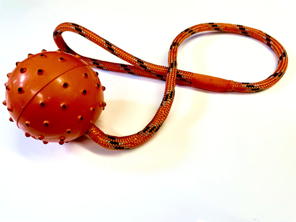 Ball on a rope dog toy- non toxic vinyl dog ball -suitable for all dogs